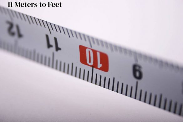 11 Meters to Feet