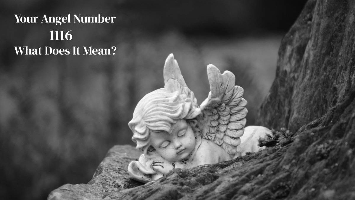 1116 Angel Number