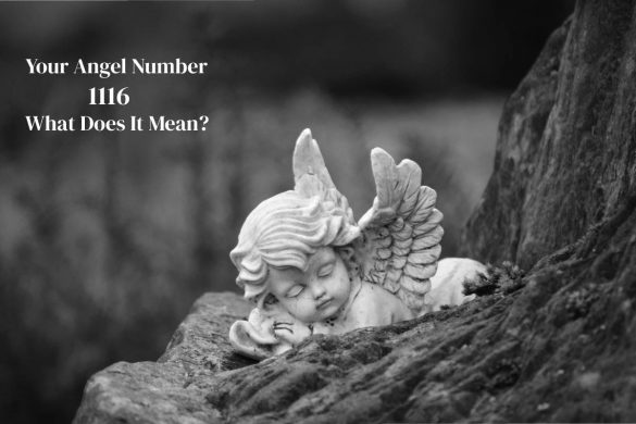 1116 Angel Number