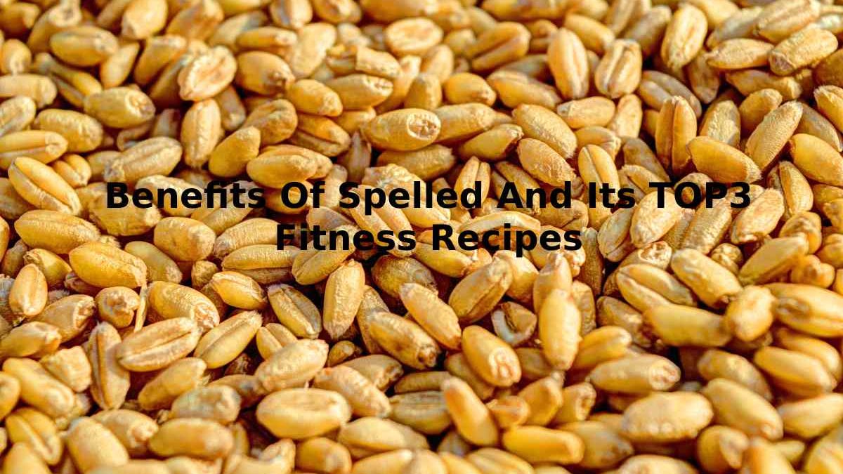 Benefits Of Spelled And Its TOP3 Fitness Recipes