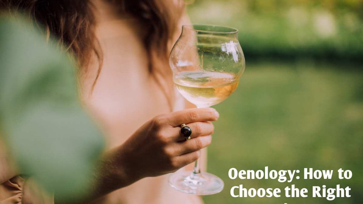 Oenology: How to Choose the Right Wine?