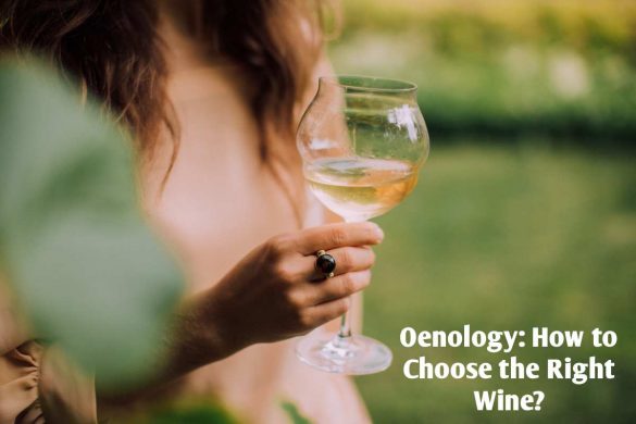 Oenology How to Choose the Right Wine_