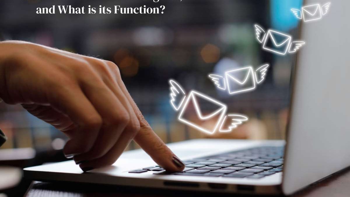 What is an Email Marketing API, and What is Its Function?