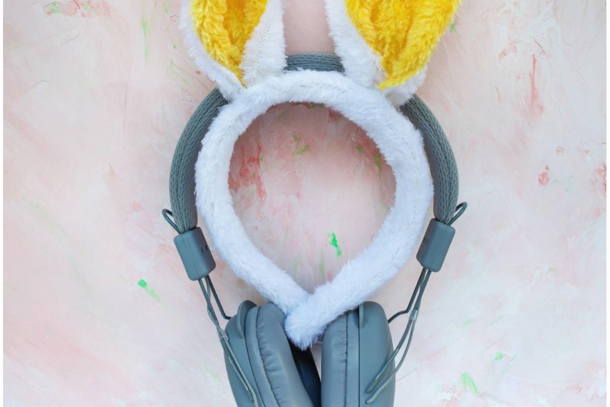 rabbit mp3 download