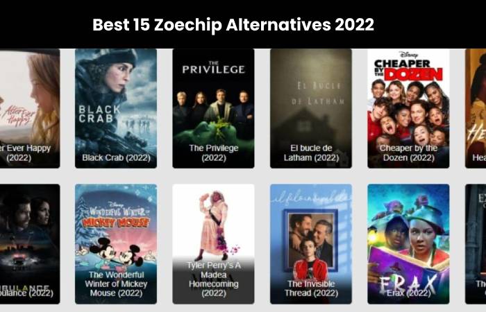 Zoechip - Movies and Tv Series (1)