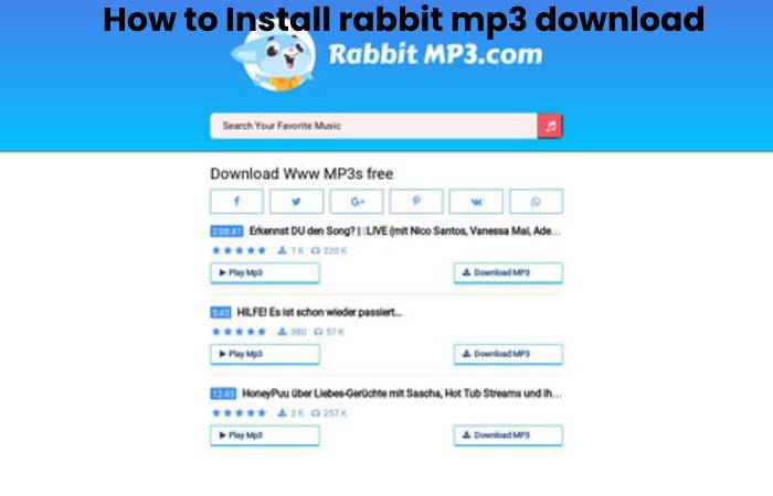 rabbit mp3 (2)