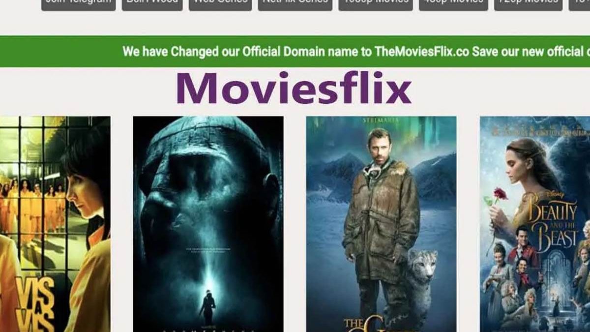 Everything You Should Know About Moviesflix Verse