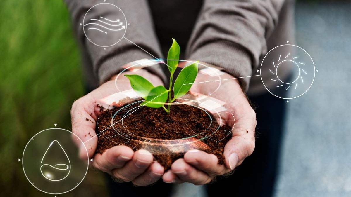 From Grass to Growth: How Innovation Transforms Everyday Efforts 