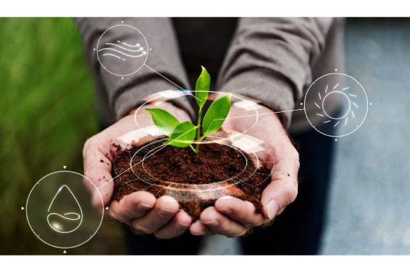From Grass to Growth_ How Innovation Transforms Everyday Efforts